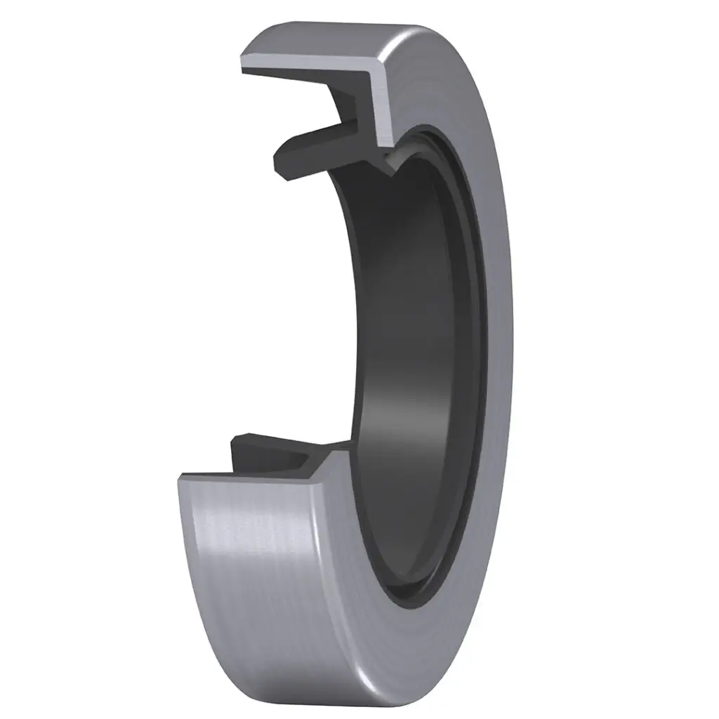 INNSEALS Standard-Wellendichtring BDS